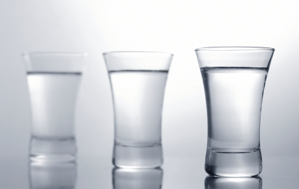 Top Rated Vodkas