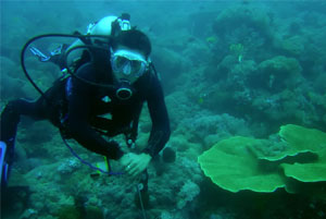 Scuba Diving