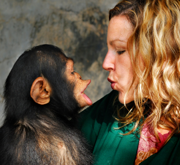 What animals are smartest