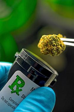 Medical marijuana