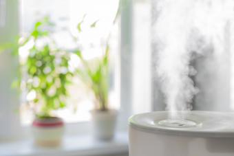 Humidificador niebla fria