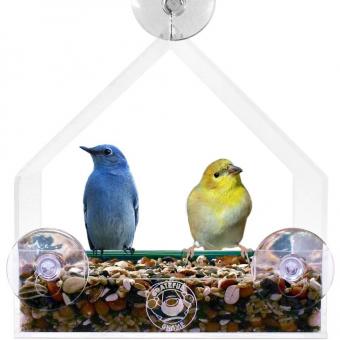 Un comedor de pájaros para la ventana