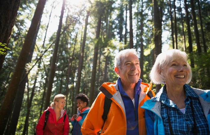Pareja de ancianos de excursión en bosques soleados