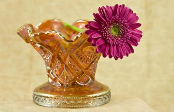 Pink daisy in carnival glass vase