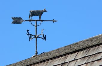 Cow weathervane