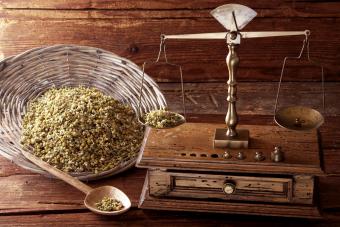 Antique scales weighing Chamomile