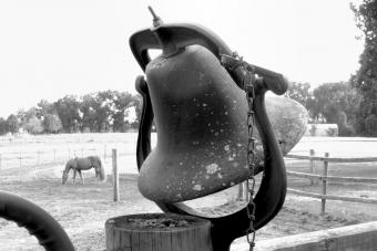 An old horse and an older bell 