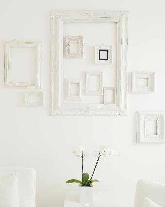 Frames on elegant, white wall