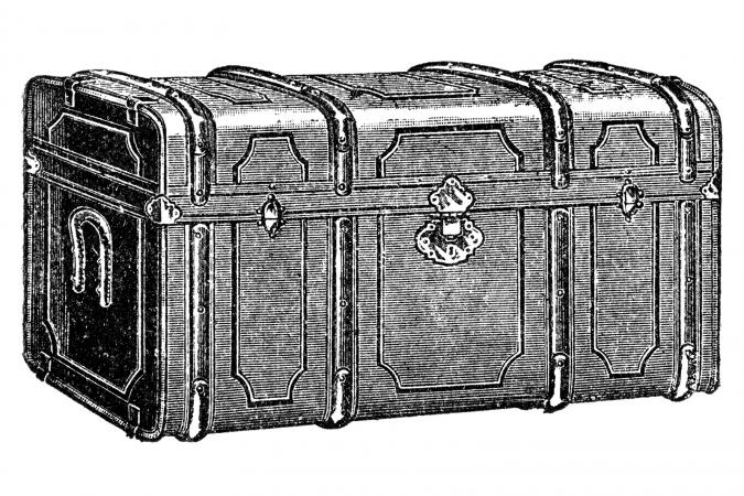 Trunk illustration
