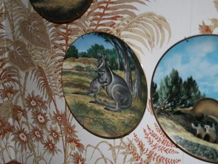 Kangaroo.jpg