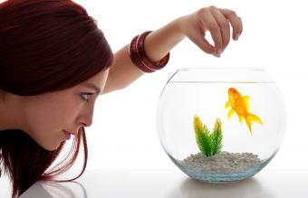 woman looking at fish tank