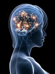 Brainwaves