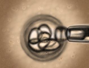 Stem cell research
