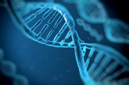 Genetic factors