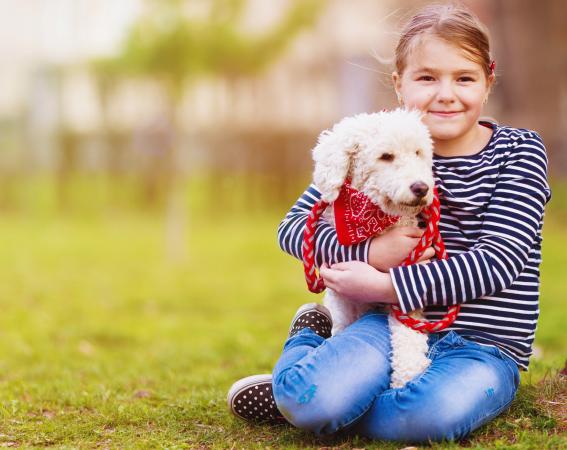 asd companion labradoodles