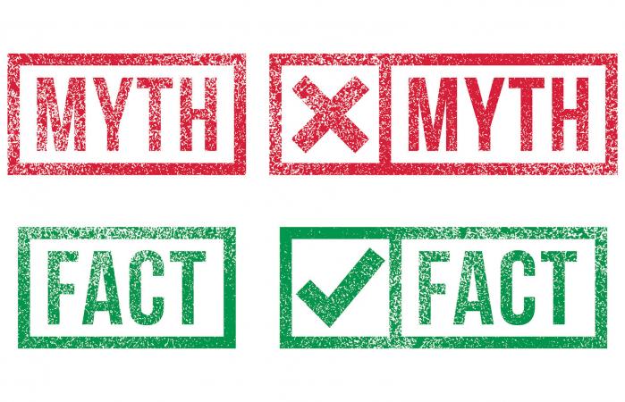 Myth Fact rubber stamps