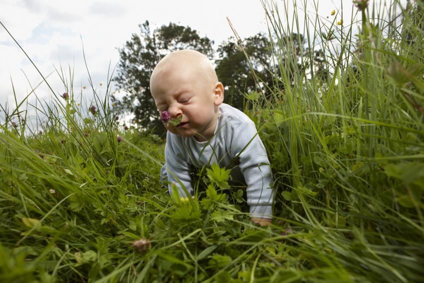 14 Funny Pictures of Babies to Brighten Your Day LoveToKnow