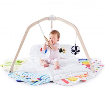 https://cf.ltkcdn.net/baby/images/slide/243287-850x850-10-play-gym.jpg