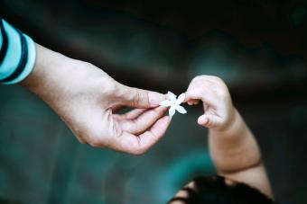 Hand Holding Flower