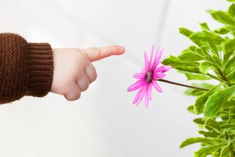 Baby boy pointing at flower