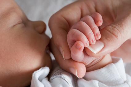 Cute newborn