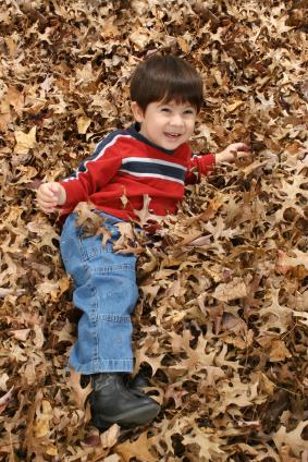 Toddler playing in leaves
