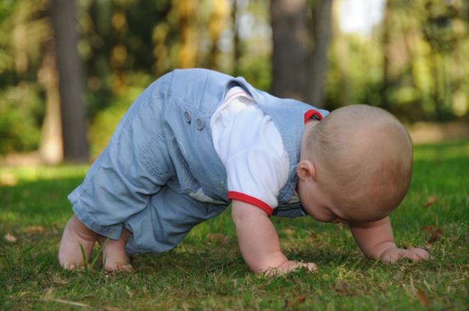 Baby trying to crawl