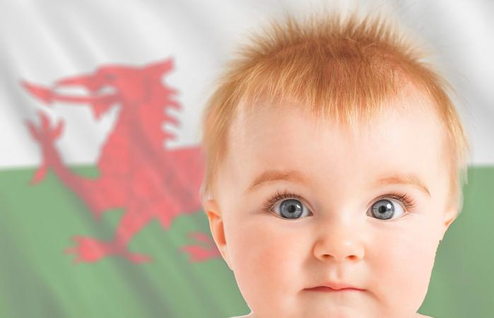 Baby with welsh flag