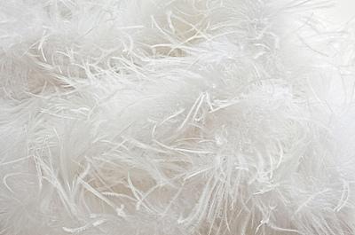 down feathers