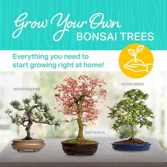 bonsai-kit.jpg