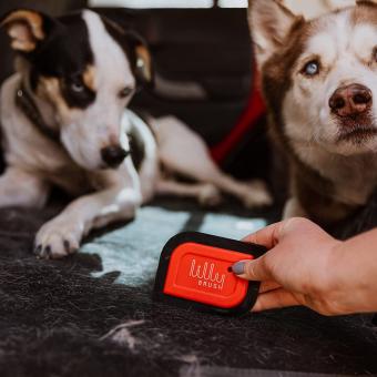 lilly-brush-mini-pet-hair-detailer.jpg
