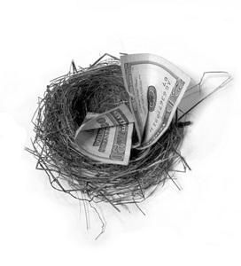 Money in nest