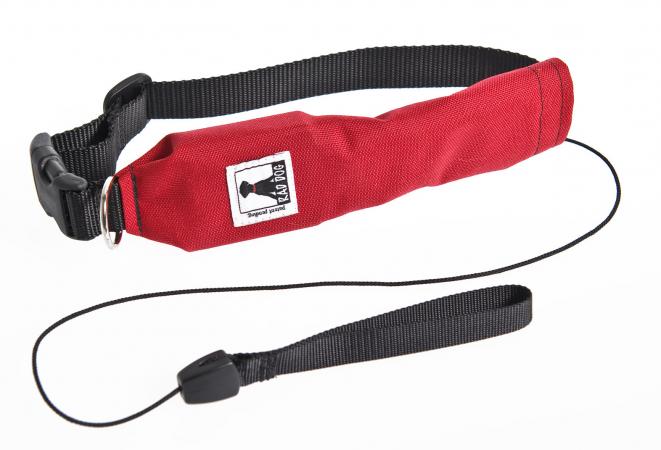 Release R Run Dog Collar