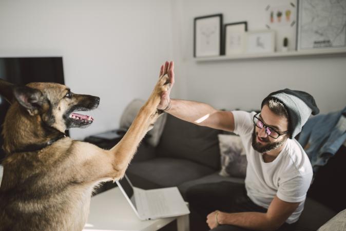 man giving high five with dog