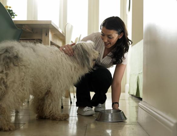 Woman feeding her dog