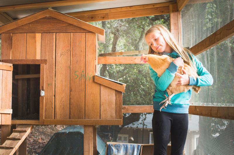 Epic List of Chicken Coop Names LoveToKnow Pets