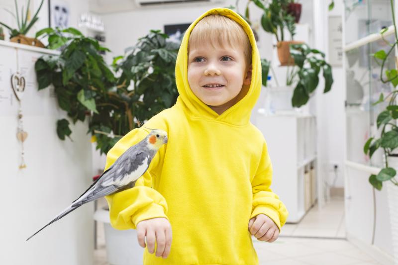 6 Quiet Pet Birds for Calm Companionship LoveToKnow Pets