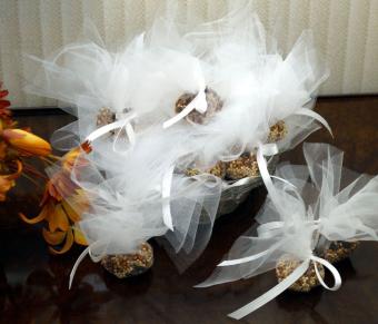 Semillas de pájaros para la suerte