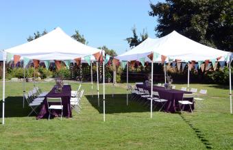 Carpas de recepción de boda