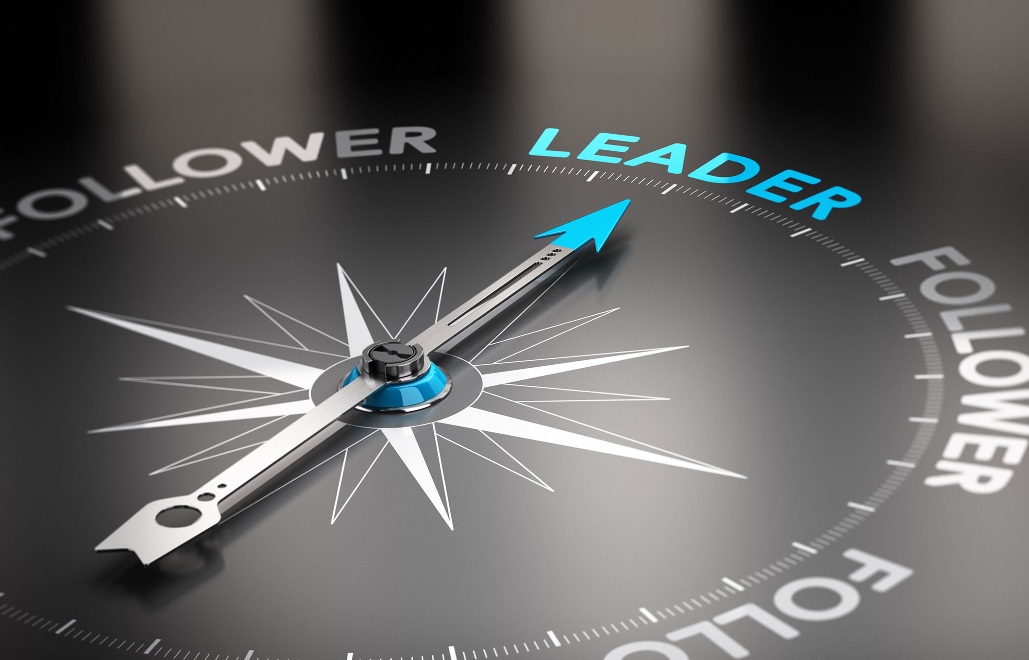 Leadership Skills Assessment Questionnaire Free Printable Form 