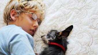 Boy and dog napping