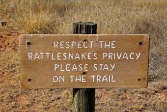 https://cf.ltkcdn.net/business/images/slide/293721-847x567-rattlesnakewarning.jpg