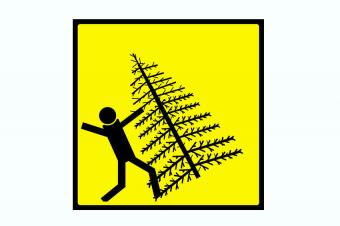 https://cf.ltkcdn.net/business/images/slide/293735-850x566-christmas-tree-danger.jpg