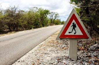 https://cf.ltkcdn.net/business/images/slide/293738-850x566-scuba-diver-crossing-sign.jpg