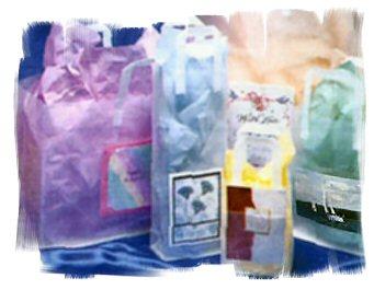 Frosted gift bag with business card slot.