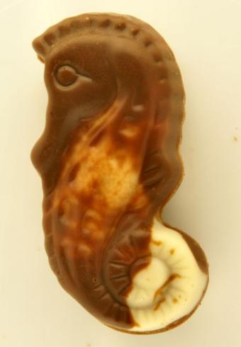 A seahorse made from chocolate
