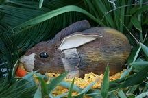 Rabbit cake, courtesy of Toni.... on Flickr.