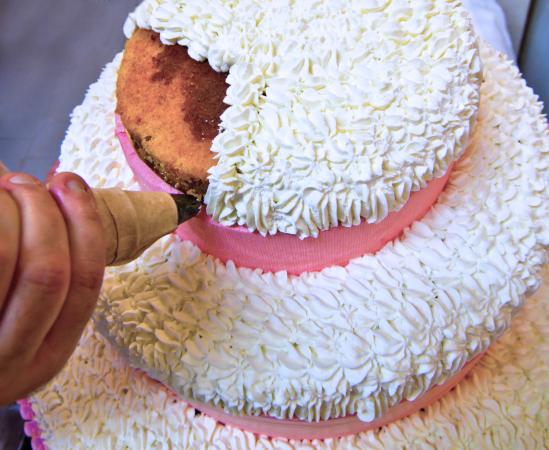 Cake Designing Software LoveToKnow