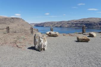Ginkgo Petrified Forest