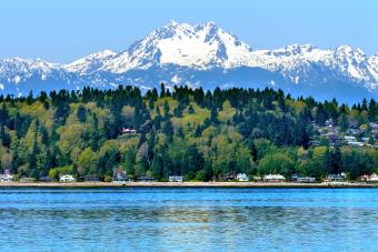 Puget Sound Mount and Olympus Snow Mountain